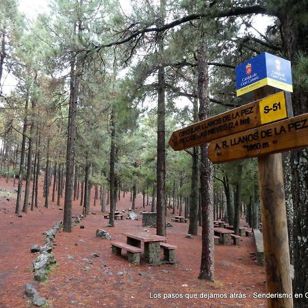 Canarias. Islas Afortunadas Las Palmas de Gran Canaria Exteriör bild