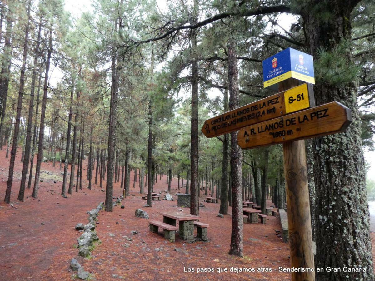 Canarias. Islas Afortunadas Las Palmas de Gran Canaria Exteriör bild